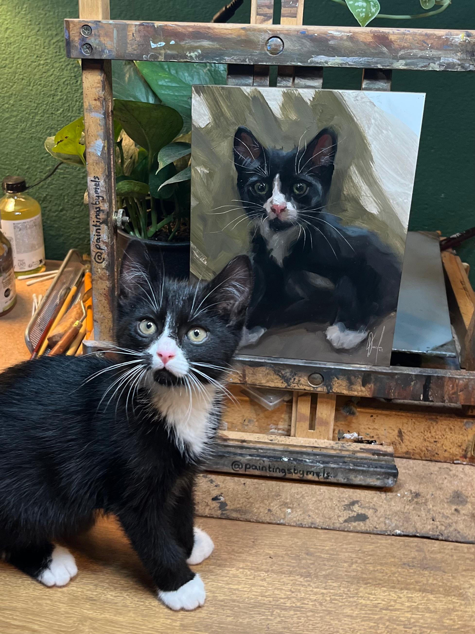 Which photos work best for a pet portrait