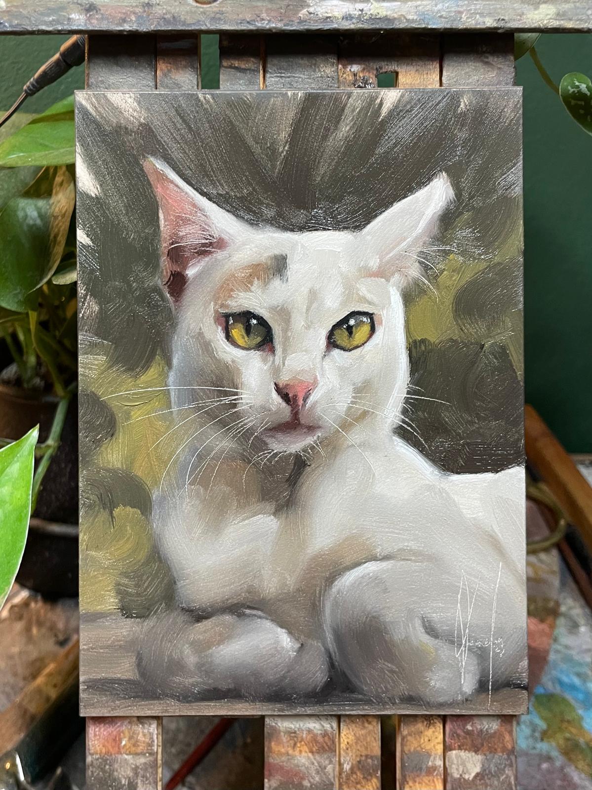 PRE ORDER White Dragon-like Cat