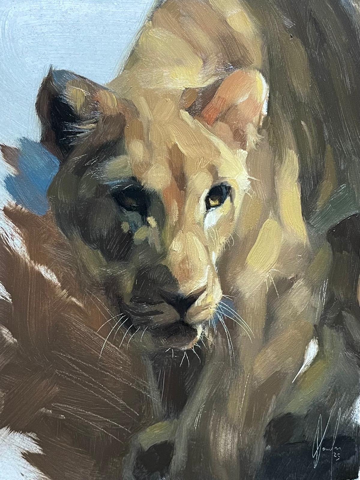PRE ORDER Lioness Portrait