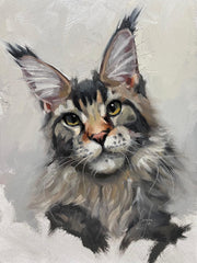 Maine Coon
