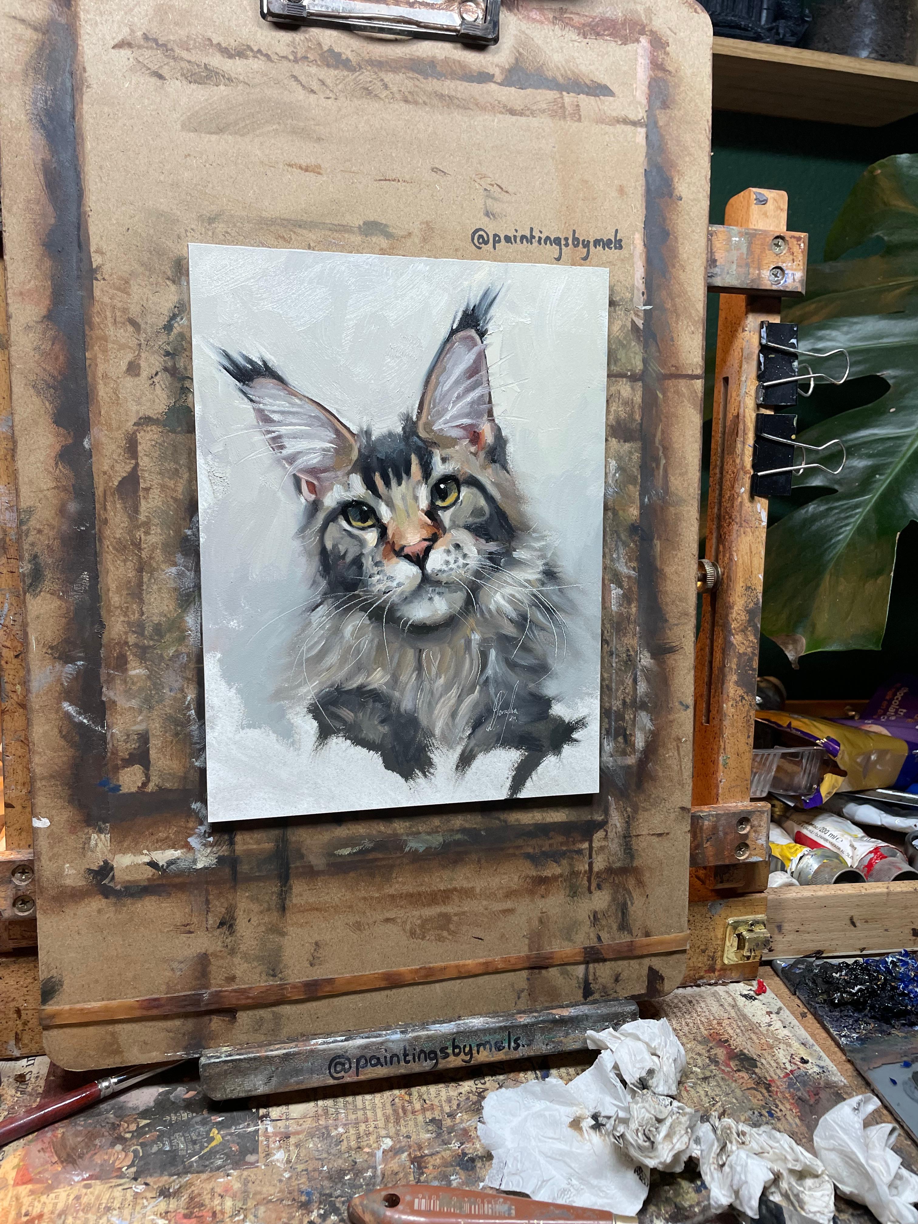 Maine Coon